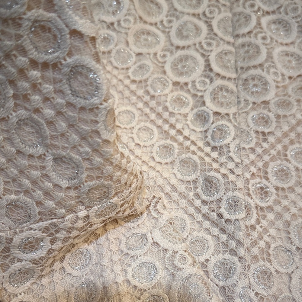 BCBG MaxAzria Metallic Lace Mini Cocktail Alena Dress Size 2 Cream Beige Silver - Picture 8 of 12
